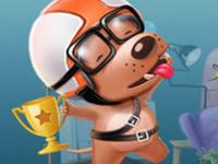 Scrappy Dog