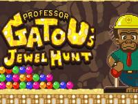 Professor Gatous