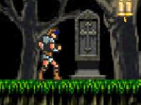 Castle Vania