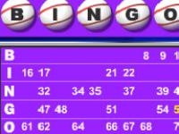 Bingo 