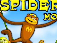 Spider Monkey