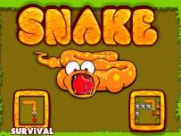 Snake Survival