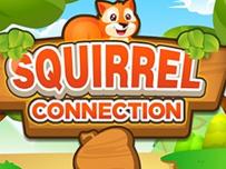 Squirrel Connection