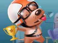 Scrappy Dog