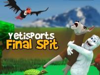 Yetisports Final Spit