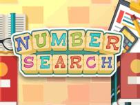 Numbers Search