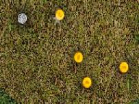 Money Golf