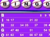 Bingo 