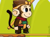 Monkey Bridge