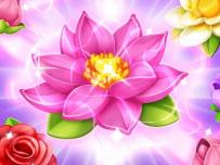 Blossom