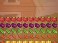 Vegetables Farm