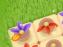 Bloom Sort 2