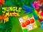Jungle Match