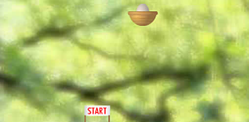Eggs - Spielesite Eggs