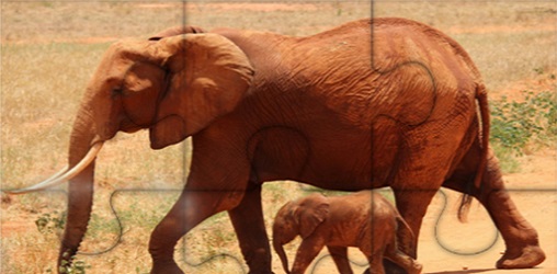 Animals Jigsaw Puzzle Elephants