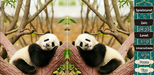 Animal Differences - Spielesite Animal Differences