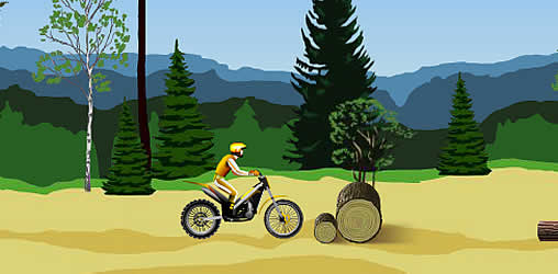 Stunt Dirt Bike