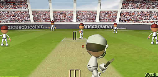 Flash Cricket