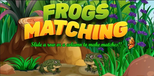 Frogs Matching